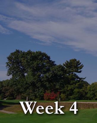 Picture of Week 4: July 12-16, Monday-Friday, Mornings