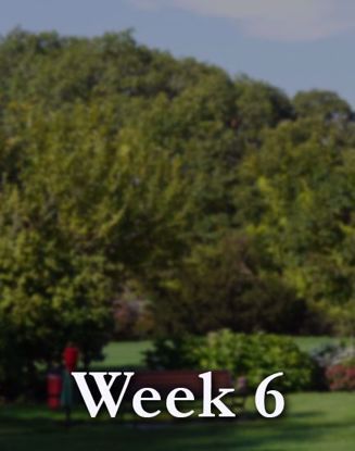 Picture of Week 6: July 26-30, Monday-Friday, Mornings