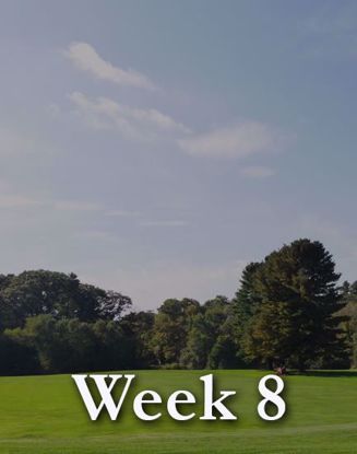 Picture of Week 8: August 9-13, Monday-Friday, Mornings