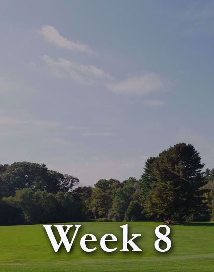 Picture of Week 8: August 9-13, Monday-Friday, Mornings