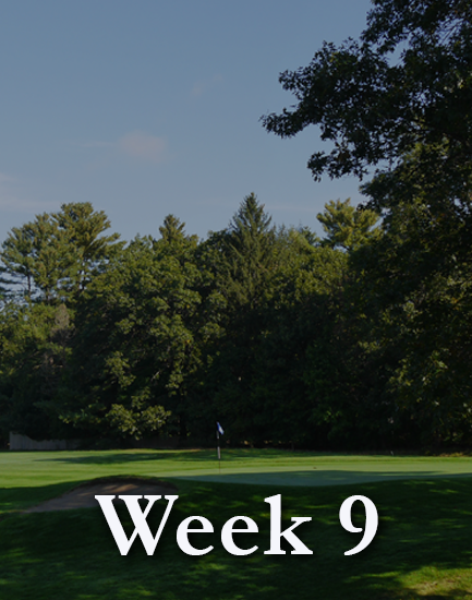 Picture of Week 9: August 16-20, Monday - Friday, Mornings
