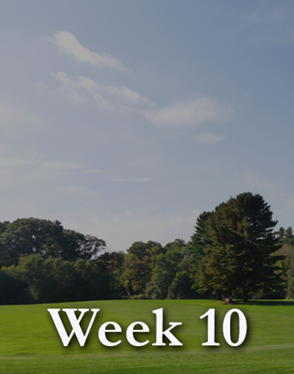 Picture of Week 10: August 23-27, Monday-Friday, Mornings